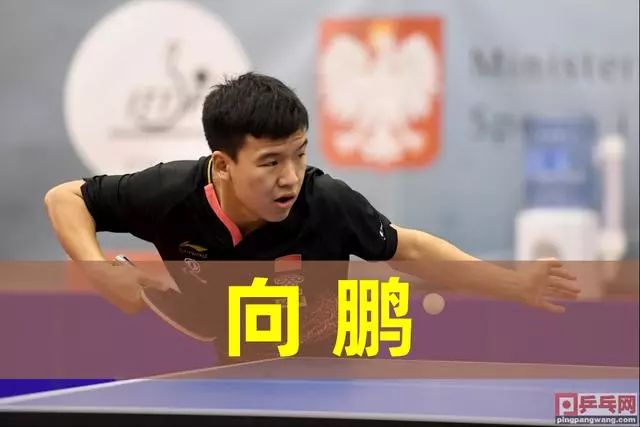 体育NBA：芝加哥公牛队与武切维奇完成续约