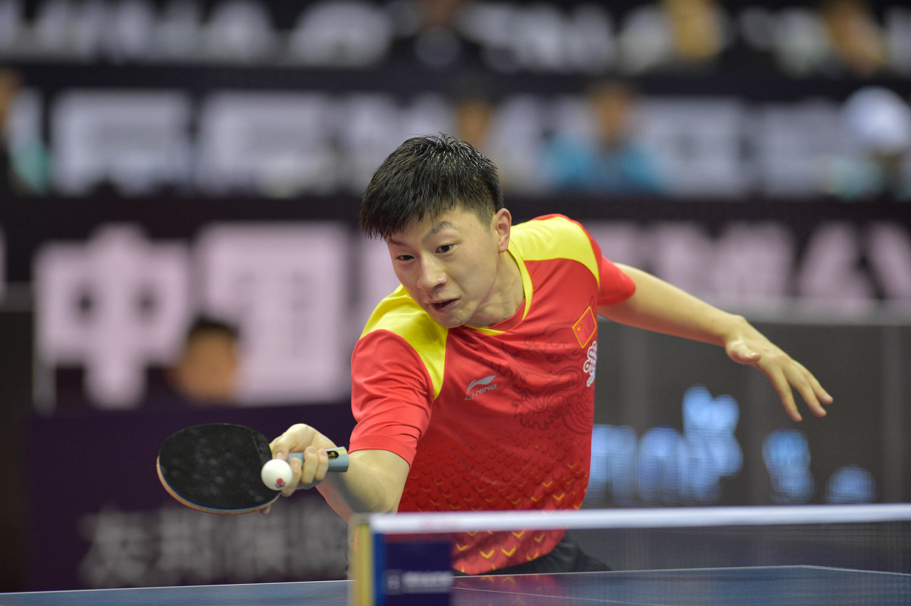 支持者们长 支持者们长